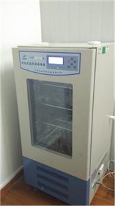 智能恒温恒湿培养箱